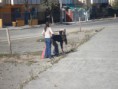 /album/fotogaleria/dsc04200-jpg/
